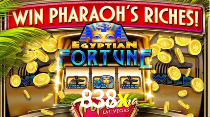 Flash Promotion 838x